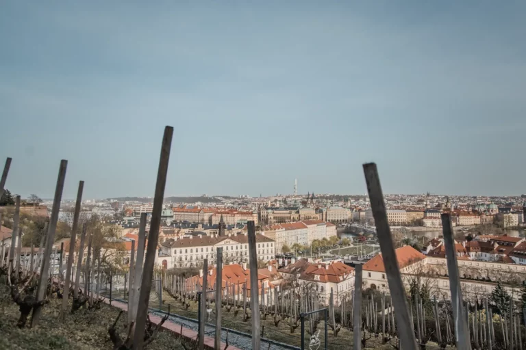 Prague Castle & Canal River Boat Walking Tour