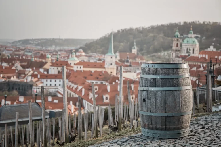 Prague Castle & Canal River Boat Walking Tour