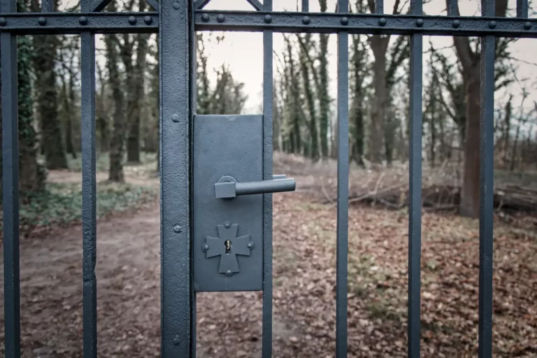 Psychiatric Hospital & Abandoned Cemetery Walking Tour